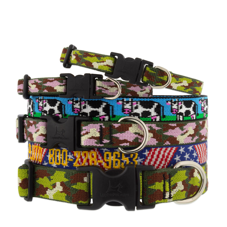 
                    
                      Assorted MicroBatch design dog collar in multiple size ranges on a white background.
                    
                  