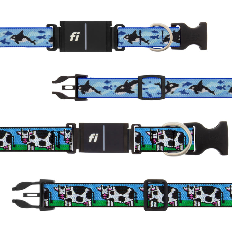 Dog collars with FI GPS receivers in orca and cow designs.