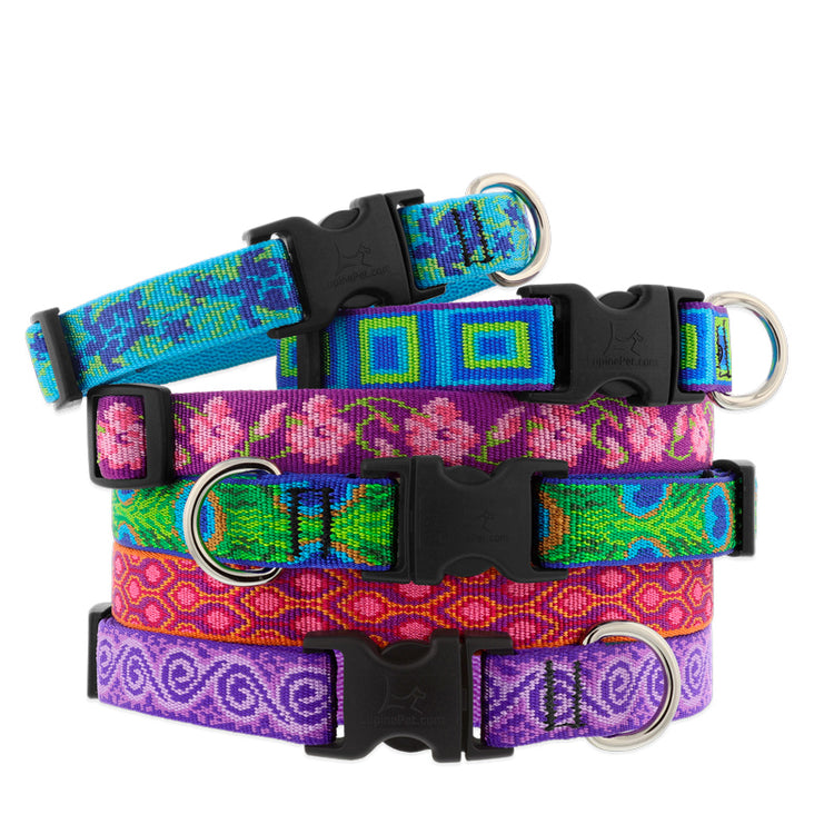 3/4" wide Adjustable Dog Collars in assorted Original Designs sizes and designs on a white background