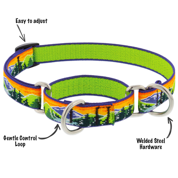 LupinePet martingale collar High Country on a white background