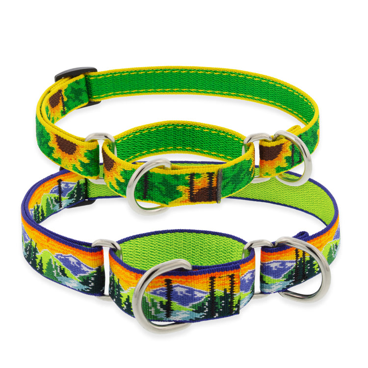 Martingale Training Collars in LupinePet Original Designs Sunflowers and High Country