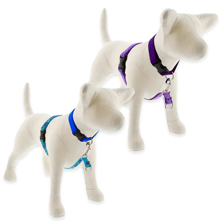 Original Designs No-Pull harness on a stuffed dog