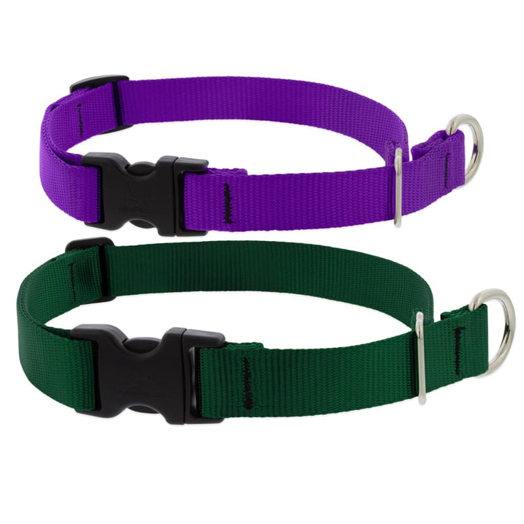Limited Slip Collars with buckle and flat martingale feature