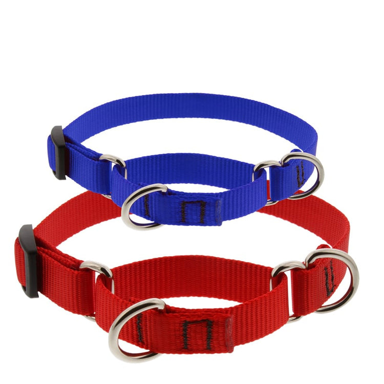 Martingale Training Collars for Dogs from LupinePet in Basic Solid Colors