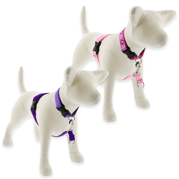 LupinePet No Pull training Harness shown in Basic Solids Pink and Purple
