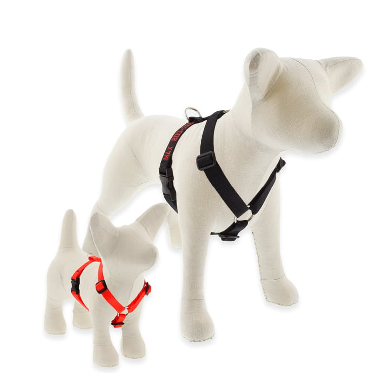 Roman Dog Harness from LupinePet in Basic Solid Colors