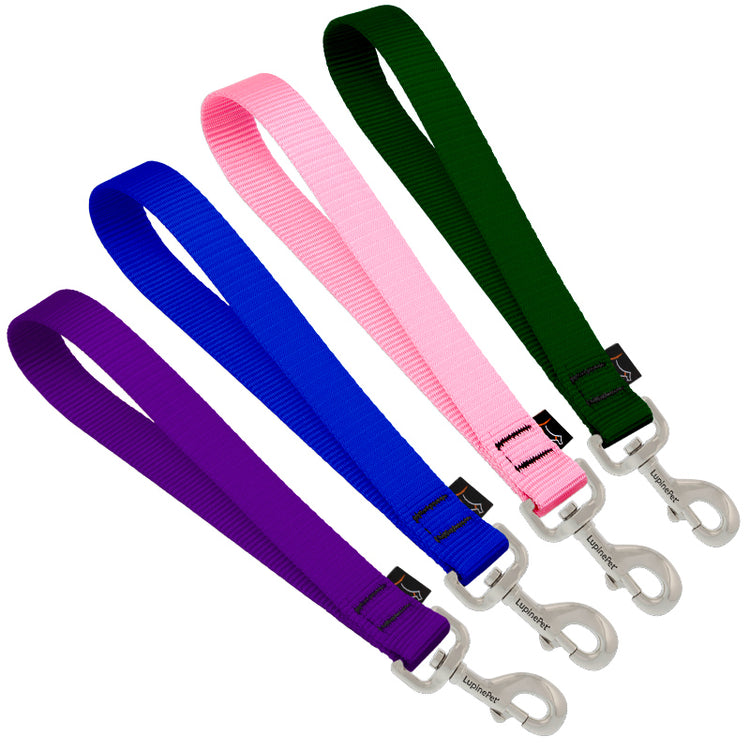 Training Tabs for Dog Walking & Training from LupinePet in Basic Solid Colors