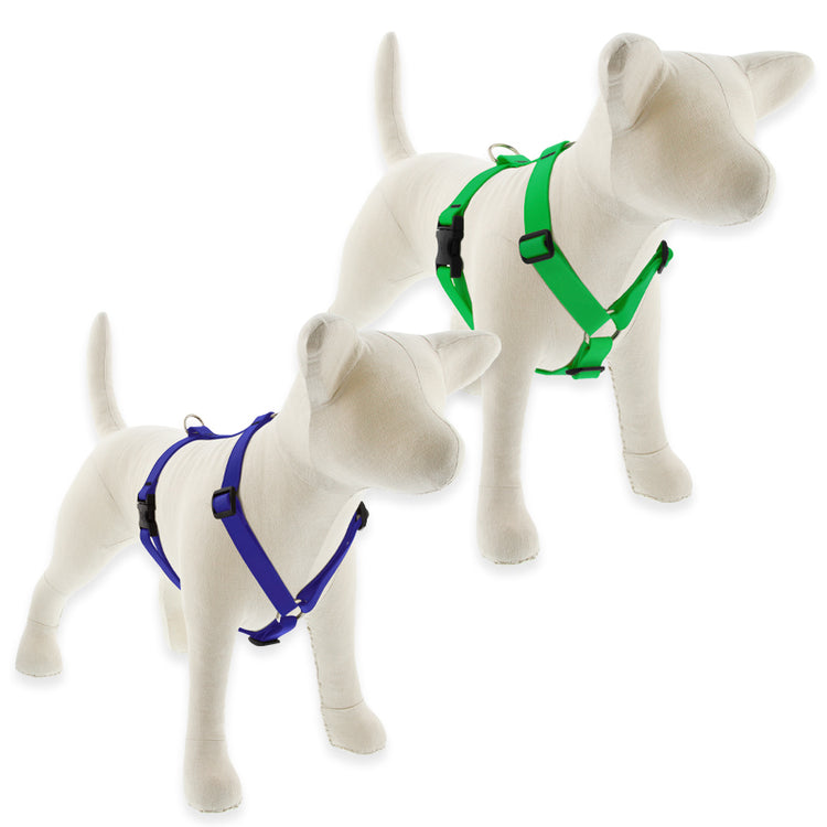Roman Dog Harness from LupinePet in Biothane Water-Proof Material