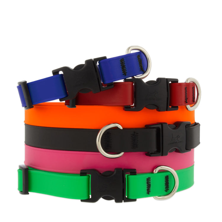 Splash Dog Collars from LupinePet in BioThaneﾮ Waterproof PVC coated webbing 