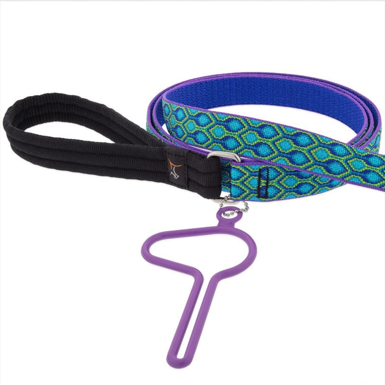 dooloop on a Lupine Rain Song Leash
