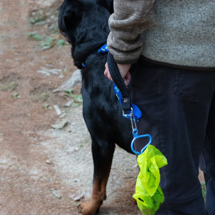 
                    
                      dooloop hands-free dog waste bag holder in New Blue on Dapper Dog by LupinePet.
                    
                  