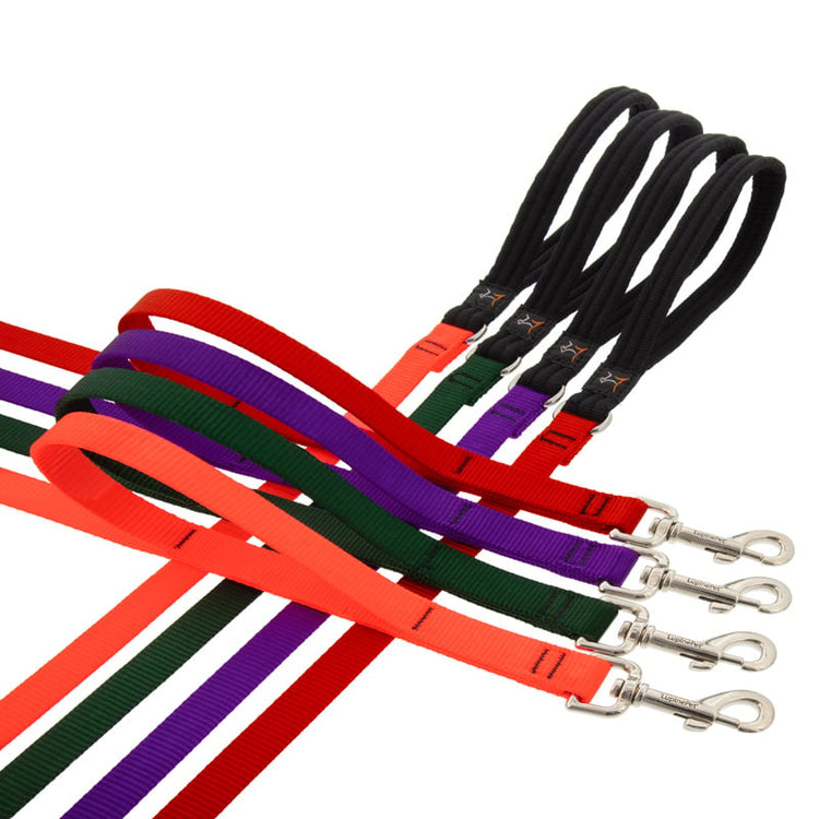 Double handle leashes in LupinePet Basic Solids