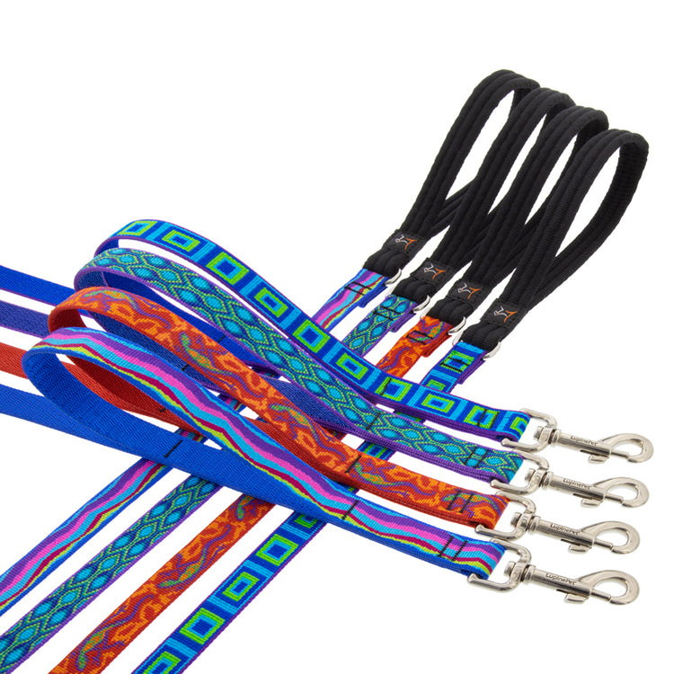 Double Handle Leashes in Original Designs by LupinePet