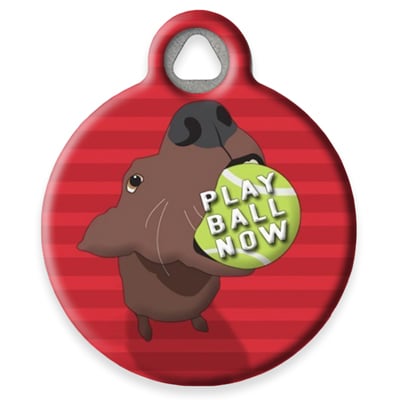 Pet ID Tag from LupinePet by Dog Tag Art - Play Ball Now Design
