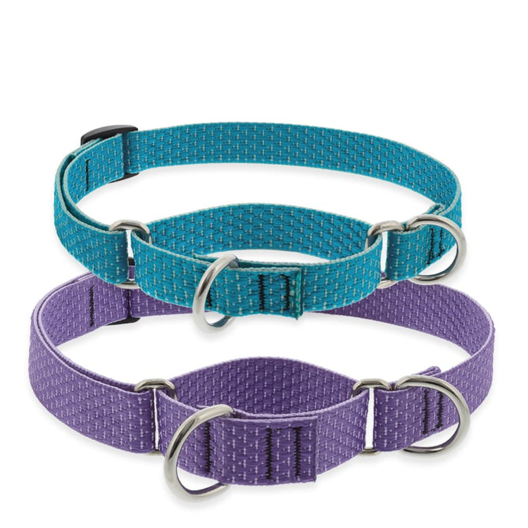 Martingale Dog Training Collars made from Recycled Materials by LupinePet in Eco Earth Tone Colors