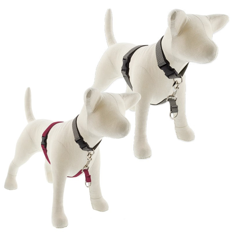 No Pull Dog Harness for Trainings made from Recycled Materials by LupinePet in Eco Earth Tone Colors