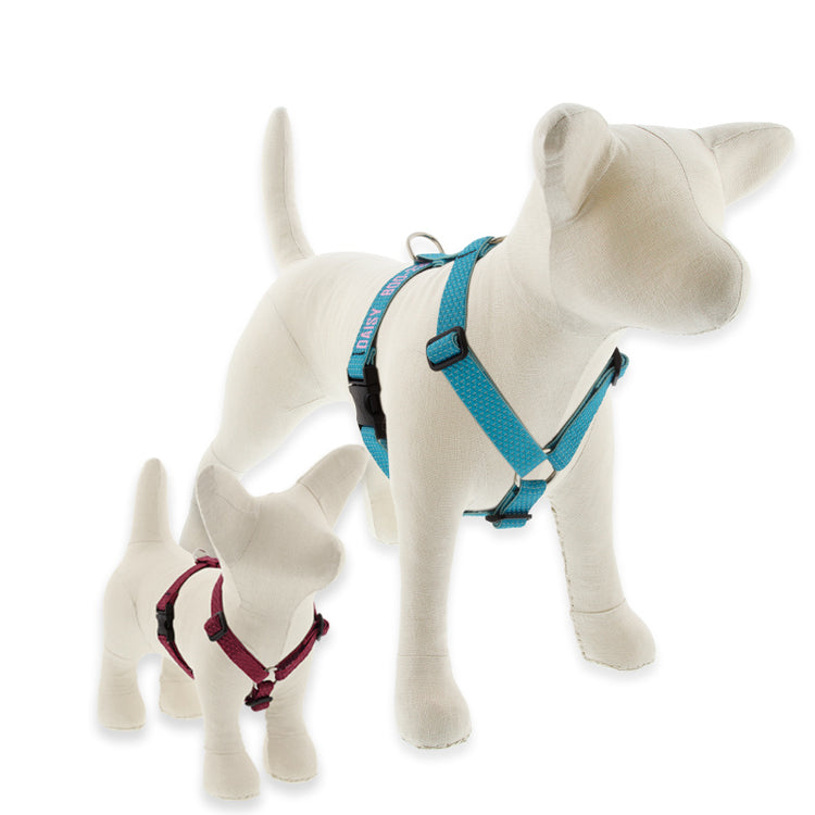 Roman Dog Harness made from Recycled Materials by LupinePet in Eco Earth Tone Colors