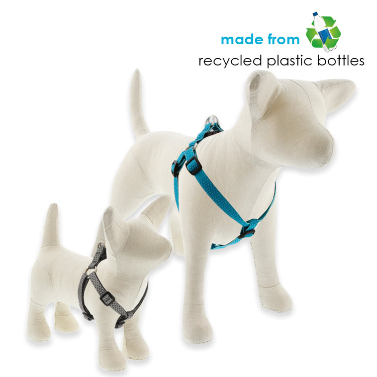 
                    
                      Lupine Pet Step-In style dog Harness in our Eco collection. Made from recycled plastic bottles.
                    
                  