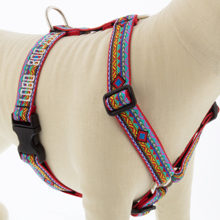 
                    
                      Lupine Pet Roman style dog harness in Original Design
                    
                  
