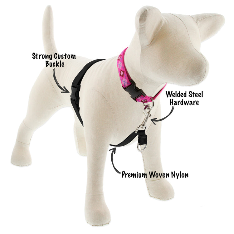 ¾” Solid black No-Pull Hrns with pink argyle dog collar that points out features of the harness