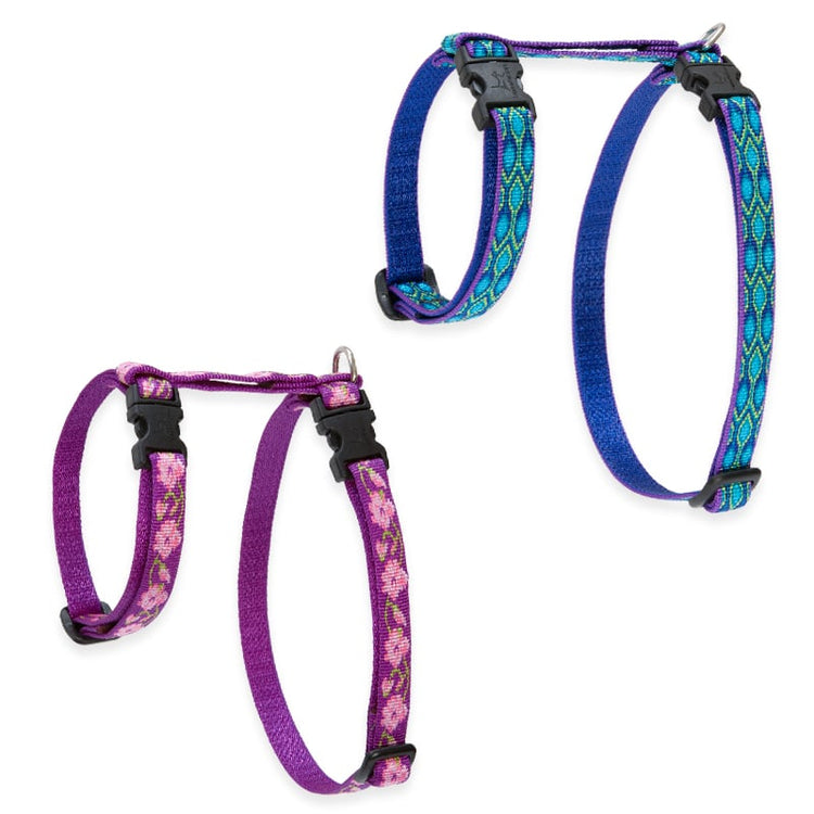 H-Style Harness for Cats in LupinePet Original Designs 
