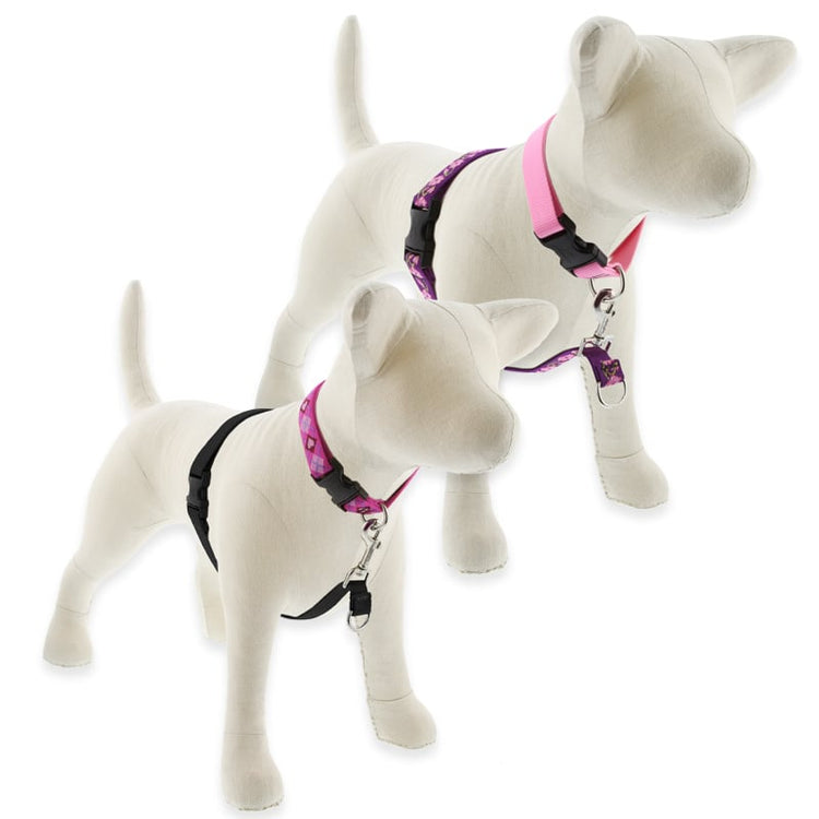 No Pull Dog Harness for Training from LupinePet in our Original Designs