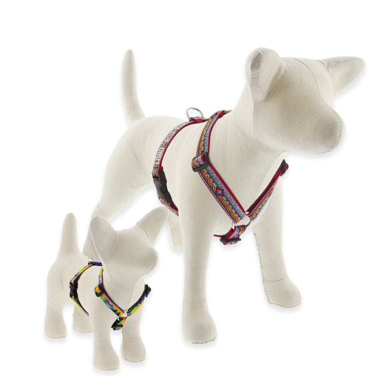 Roman Dog Harness from LupinePet in our Original Designs