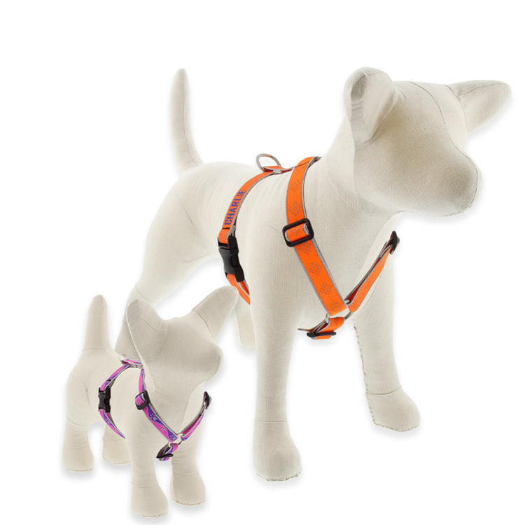 Roman Dog Harness from LupinePet in our Reflective Designs