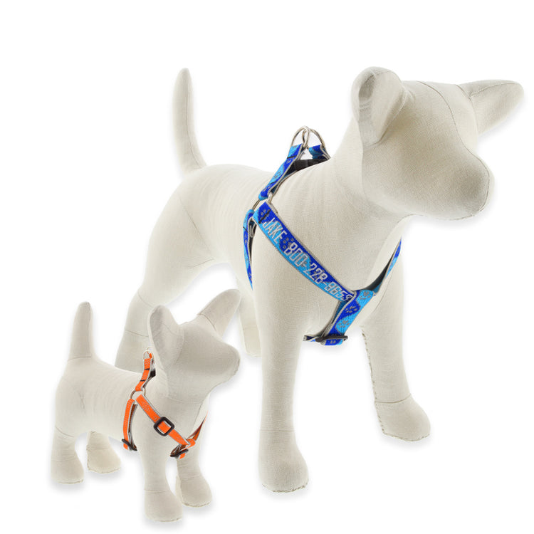 Step-In Dog Harness from LupinePet in our Reflective Designs