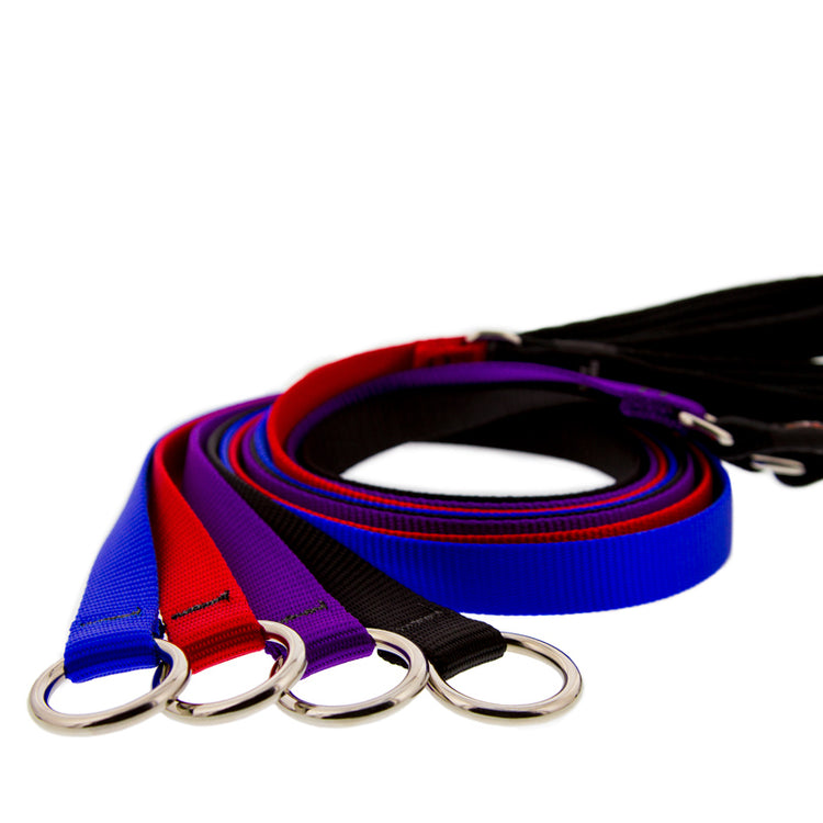 Basic Solid slip leads for dogs in assorted colors by LupinePet
