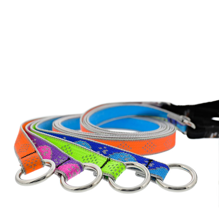 Slip Lead All-In-One Dog Leash & Collar by LupinePet in our Reflective Designs