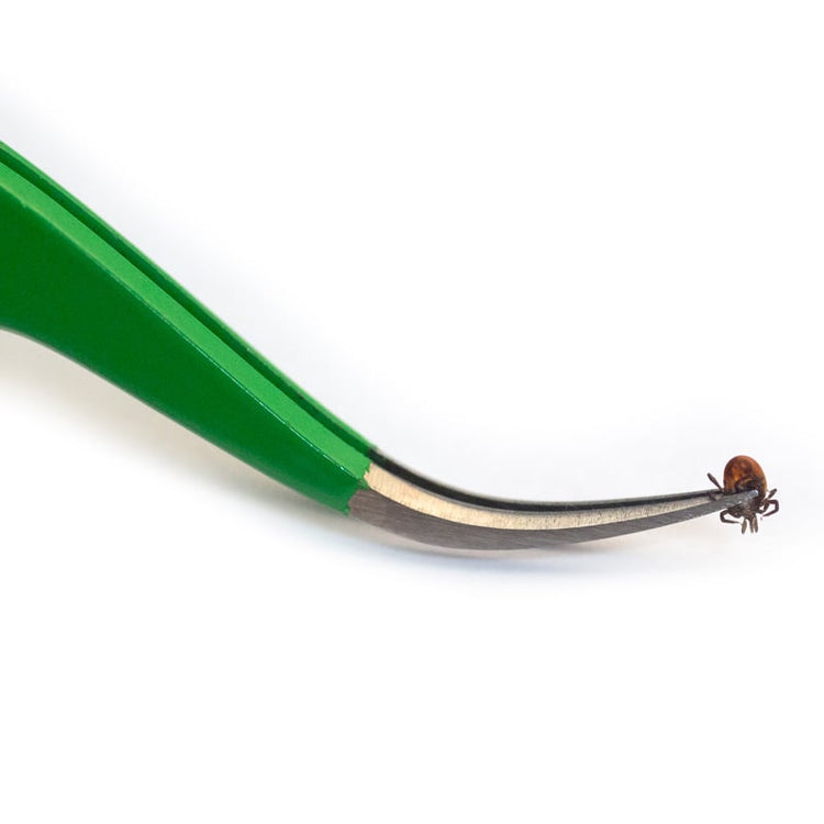 Tick Tweezers from Premium TickCheck Tick Removal Kit