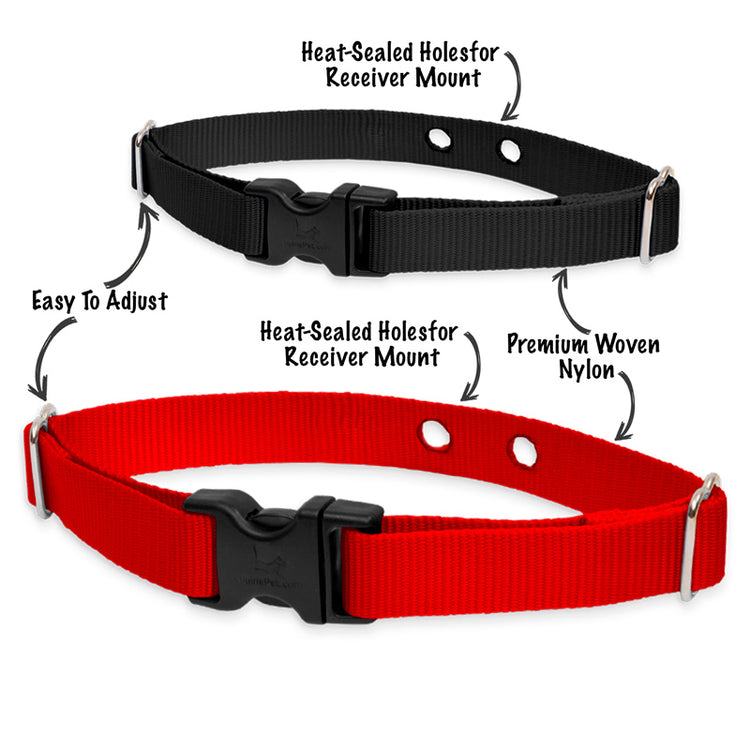  Dog Watch Systems